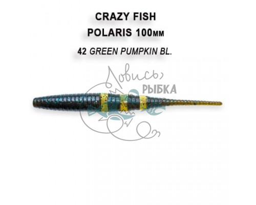 Polaris 4ʺ 38-100-42-6 кальмар