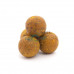 Насадочные бойлы MINENKO SWEET CORN 20мм (варёные) HB0312
