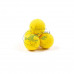Бойлы плавающие MINENKO HONEY (Fluo) Pop-Up 10мм 5511
